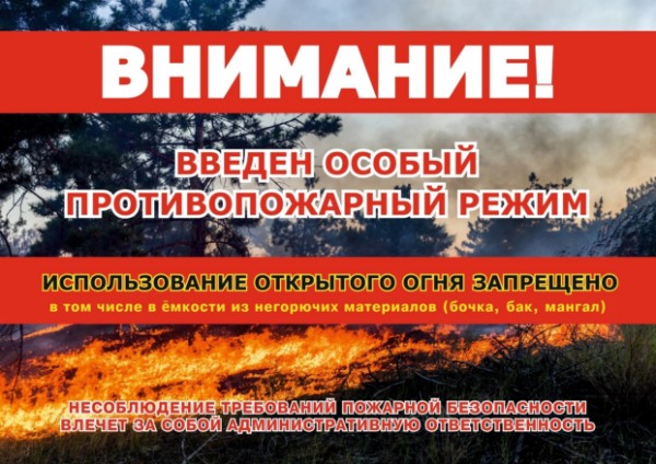 В Иркутской области с 3 мая 2024 года установлен особый противопожарный режим